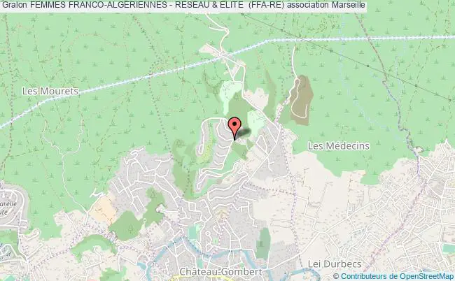 plan association Femmes Franco-algeriennes - Reseau & Elite  (ffa-re) Marseille
