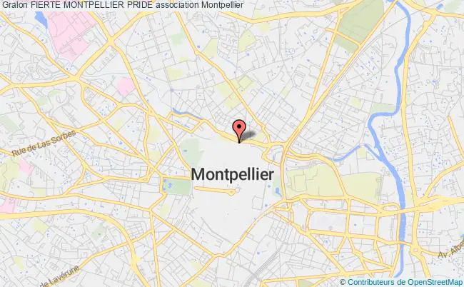 plan association Fierte Montpellier Pride Montpellier