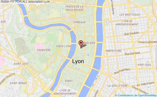 plan association Fit For All Lyon