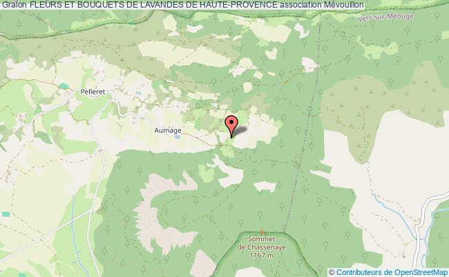 FLEURS ET BOUQUETS DE LAVANDES DE HAUTE-PROVENCE