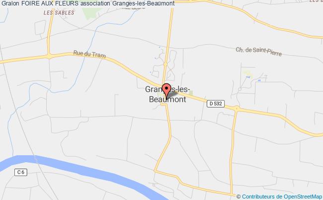 plan association Foire Aux Fleurs Granges-les-Beaumont