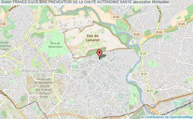 plan association France Equilibre Prevention De La Chute Autonomie Sante Montpellier