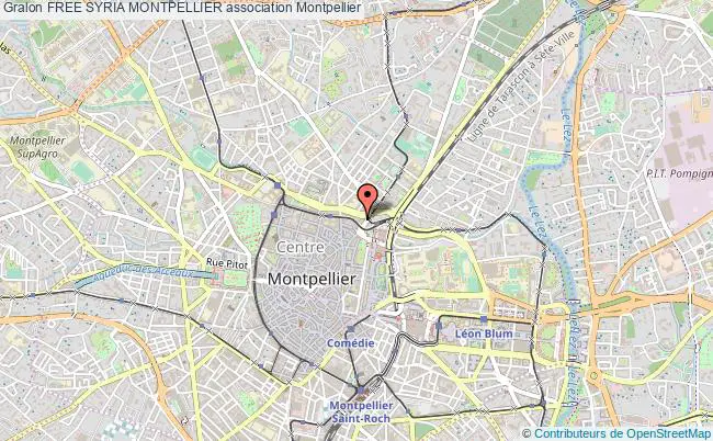 plan association Free Syria Montpellier Montpellier