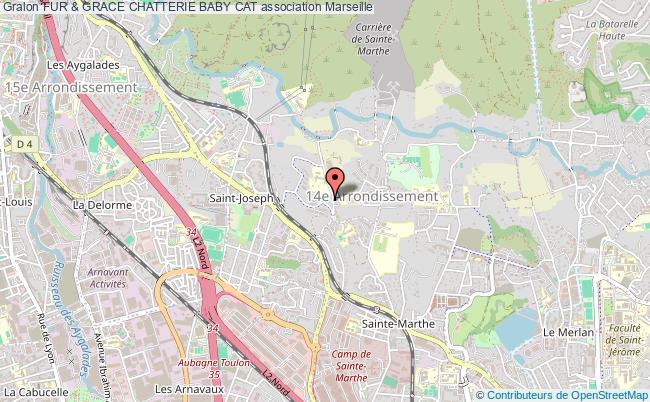 FUR & GRACE CHATTERIE BABY CAT