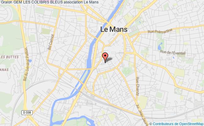 GEM LES COLIBRIS BLEUS