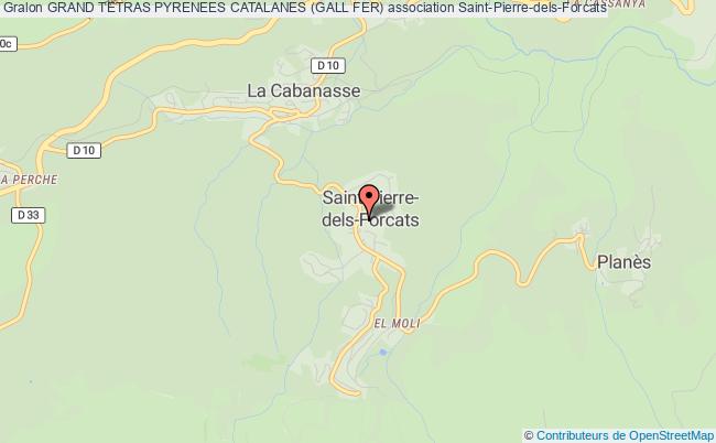 plan association Grand Tetras Pyrenees Catalanes (gall Fer) Saint-Pierre-dels-Forcats