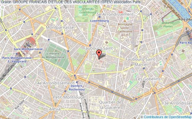 GROUPE FRANCAIS D'ETUDE DES VASCULARITES (GFEV)