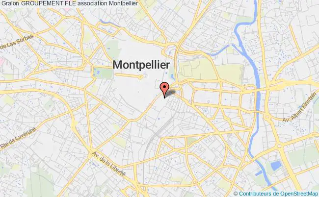 plan association Groupement Fle Montpellier