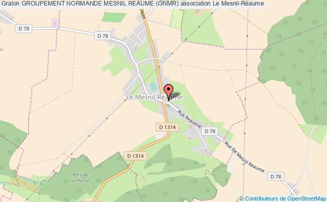 GROUPEMENT NORMANDE MESNIL REAUME (GNMR)