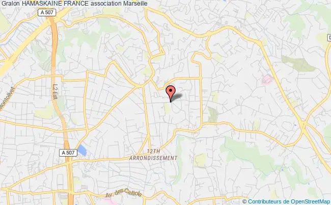 plan association Hamaskaine France Marseille