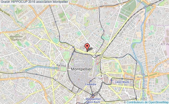 plan association Hippocup 2016 Montpellier
