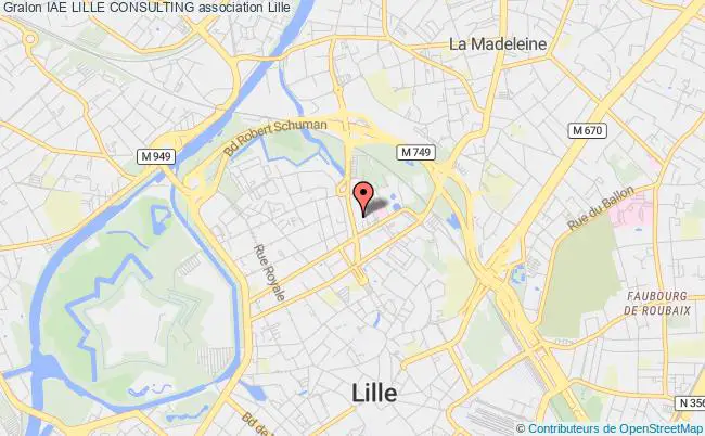 plan association Iae Lille Consulting Lille Cedex
