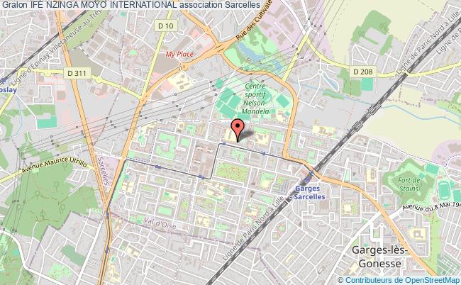 IFÉ NZINGA MOYO INTERNATIONAL