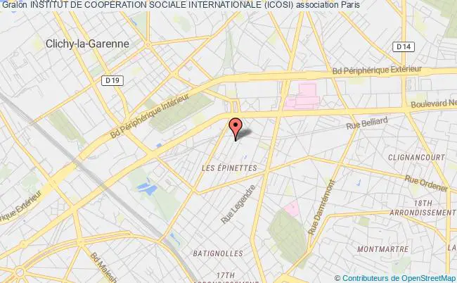 plan association Institut De CoopÉration Sociale Internationale (icosi) Paris