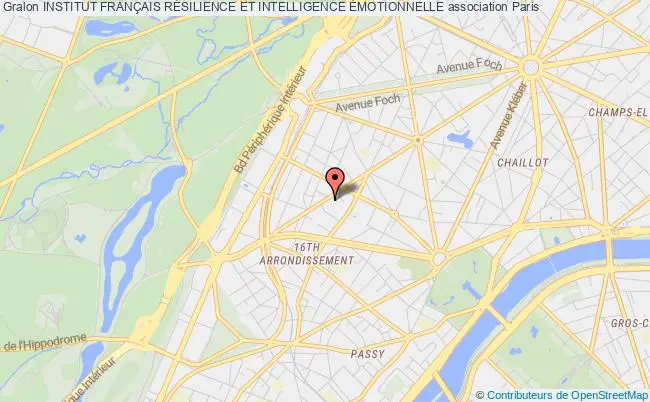 plan association Institut FranÇais RÉsilience Et Intelligence Émotionnelle Paris