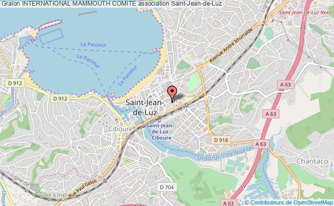 plan association International Mammouth Comite Saint-Jean-de-Luz