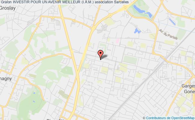 INVESTIR POUR UN AVENIR MEILLEUR (I.A.M.)