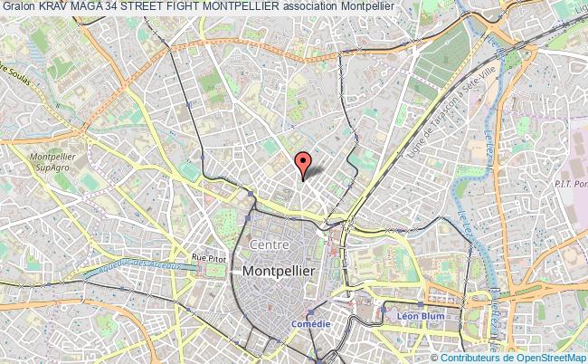 plan association Krav Maga 34 Street Fight Montpellier Montpellier