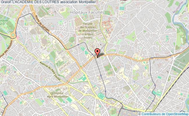 L'ACADÉMIE DES LOUTRES