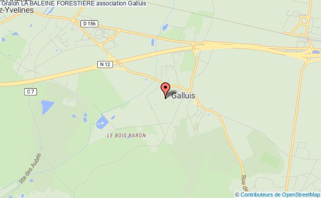 LA BALEINE FORESTIÈRE