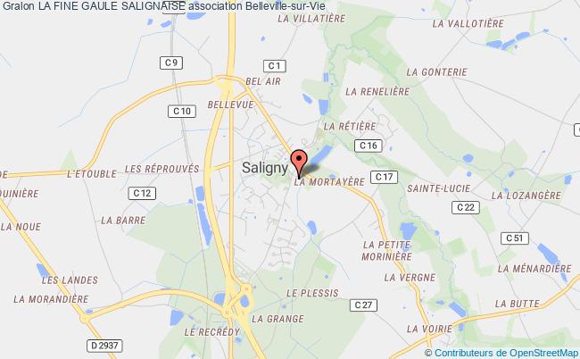 plan association La Fine Gaule Salignaise Saligny