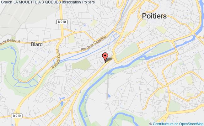 LA MOUETTE A 3 QUEUES