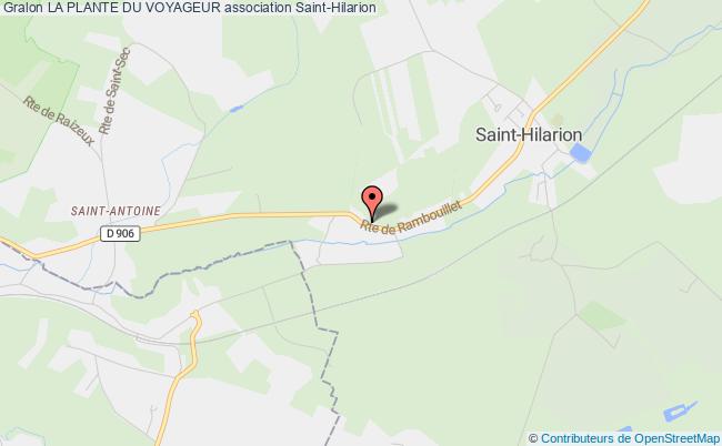 LA PLANTE DU VOYAGEUR