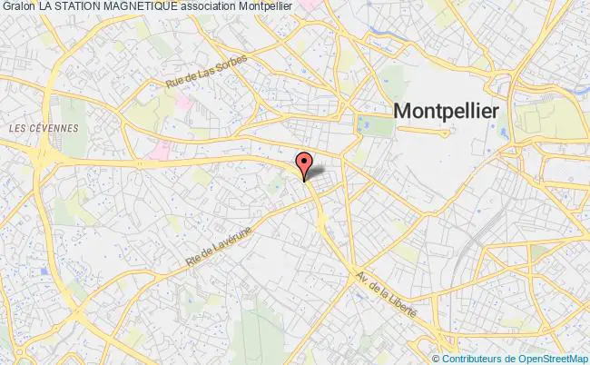 plan association La Station Magnetique Montpellier
