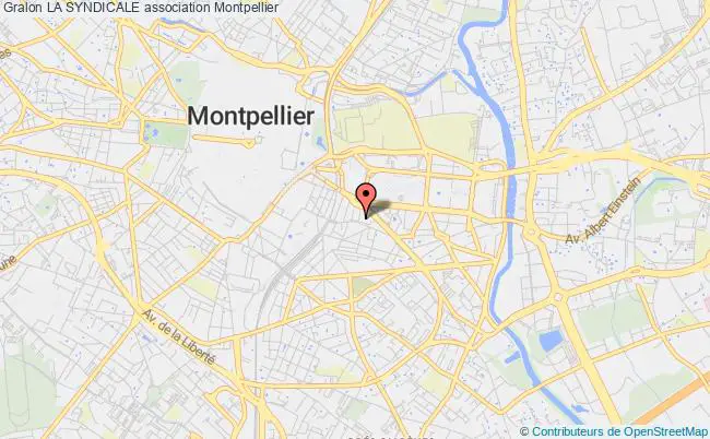 plan association La Syndicale Montpellier