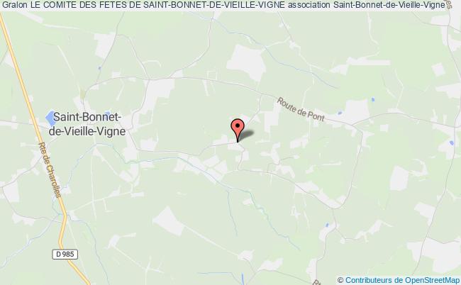 LE COMITE DES FETES DE SAINT-BONNET-DE-VIEILLE-VIGNE
