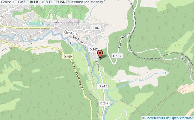 LE GAZOUILLIS DES ÉLÉPHANTS