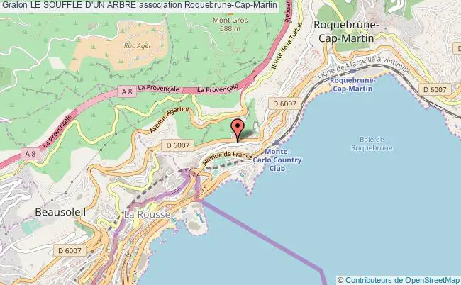 plan association Le Souffle D'un Arbre Roquebrune-Cap-Martin