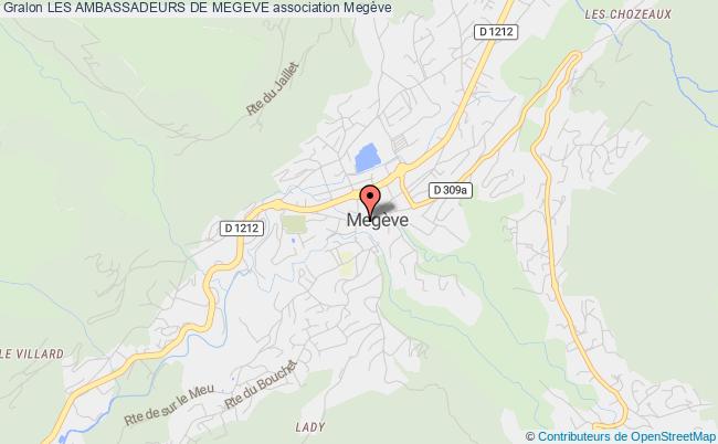 LES AMBASSADEURS DE MEGEVE