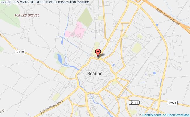 LES AMIS DE BEETHOVEN