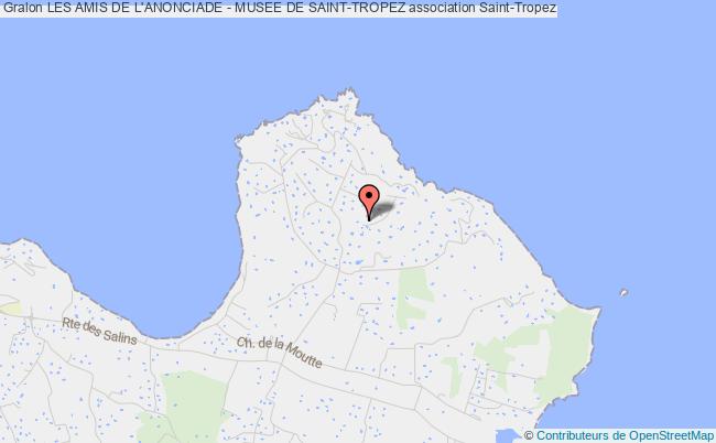 LES AMIS DE L'ANONCIADE - MUSEE DE SAINT-TROPEZ