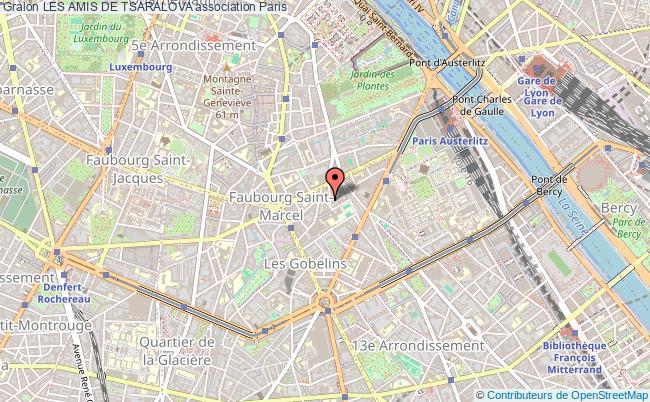 LES AMIS DE TSARALOVA