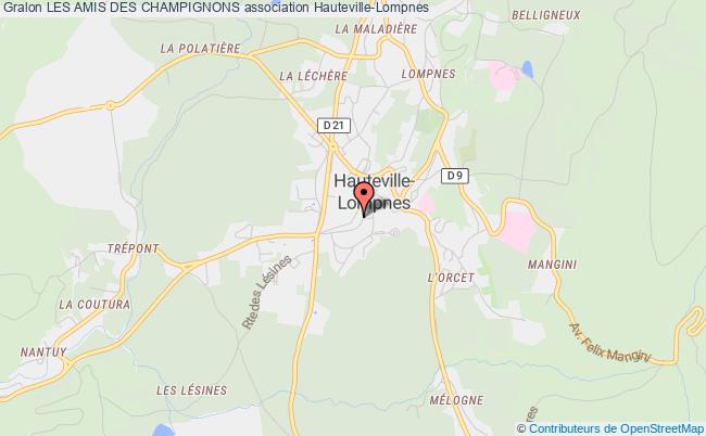 plan association Les Amis Des Champignons Hauteville-Lompnes