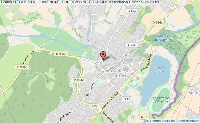 plan association Les Amis Du Champignon De Divonne-les-bains Divonne-les-Bains
