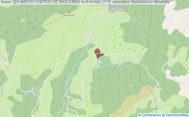 Les amis du chateau de saulxures-sur-moselotte association Conseil