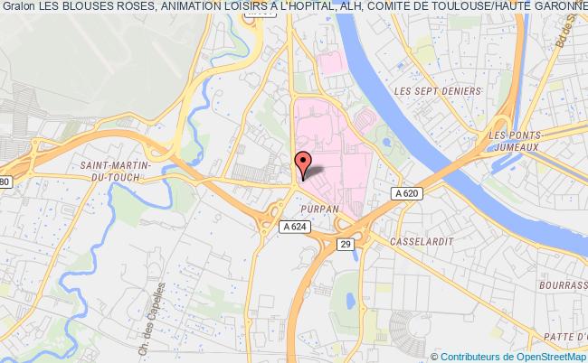 plan association Les Blouses Roses, Animation Loisirs A L'hopital, Alh, Comite De Toulouse/haute Garonne Toulouse Cédex 9