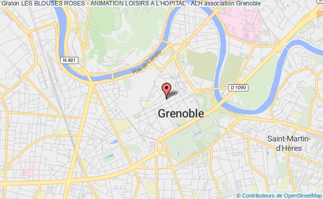 LES BLOUSES ROSES - ANIMATION LOISIRS A L'HOPITAL - ALH