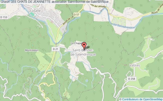 LES CHATS DE JEANNETTE