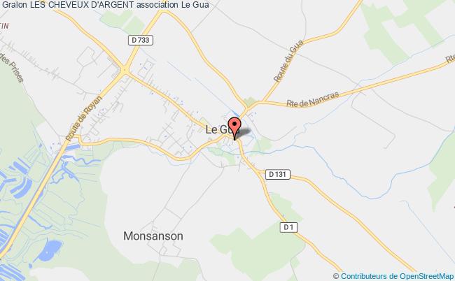 LES CHEVEUX D'ARGENT