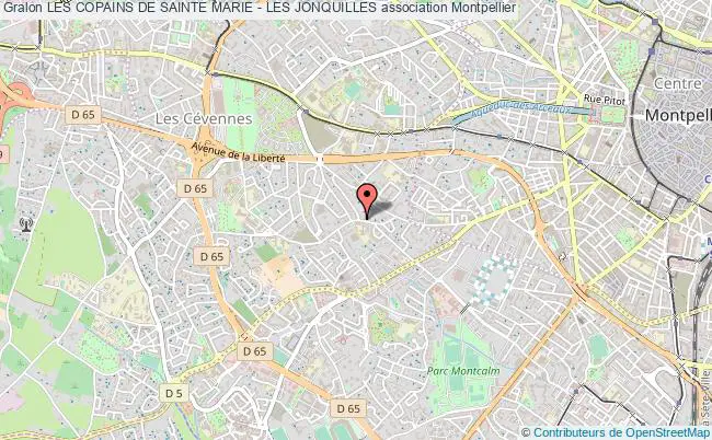 plan association Les Copains De Sainte Marie - Les Jonquilles Montpellier