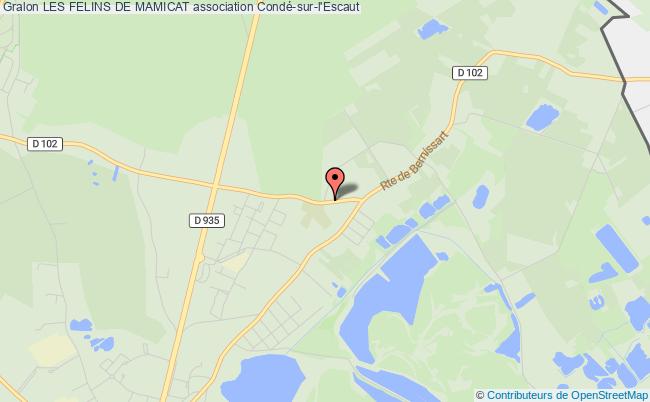 LES FELINS DE MAMICAT