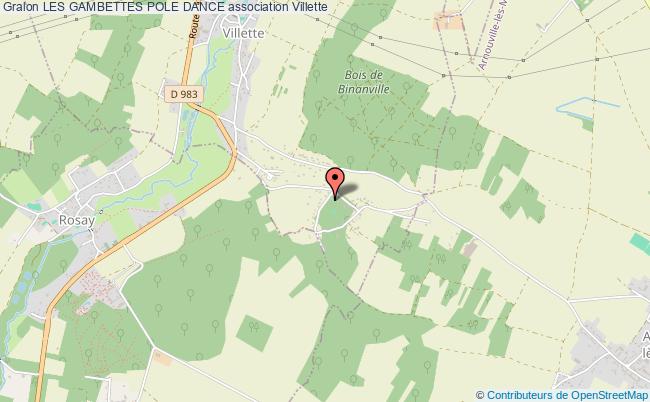 LES GAMBETTES POLE DANCE