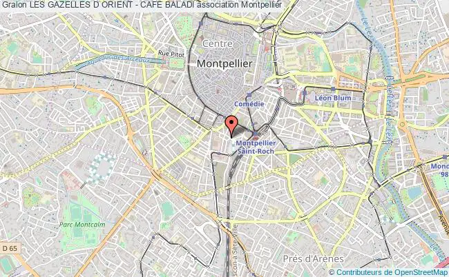 plan association Les Gazelles D Orient - Cafe Baladi Montpellier