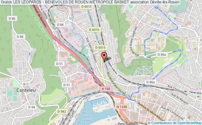 LES LÉOPARDS - BÉNÉVOLES DE ROUEN MÉTROPOLE BASKET