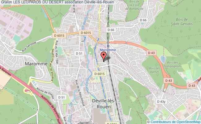 LES LEOPARDS DU DESERT