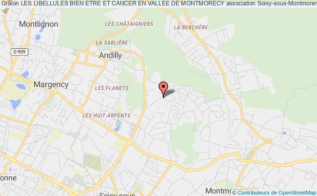 plan association Les Libellules Bien Etre Et Cancer En Vallee De Montmorecy Soisy-sous-Montmorency